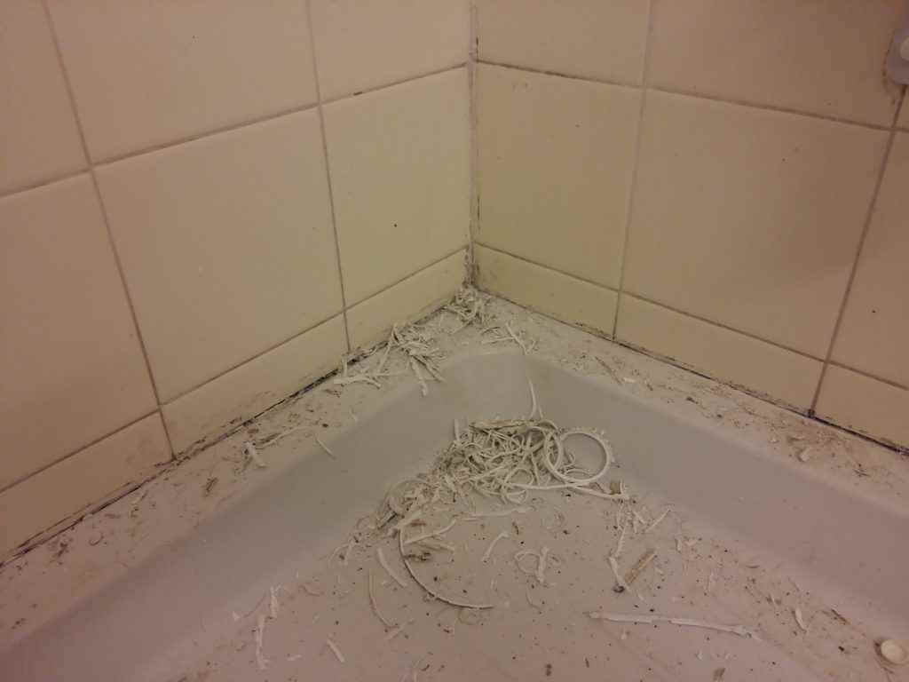 bathroom before renovation 1 1