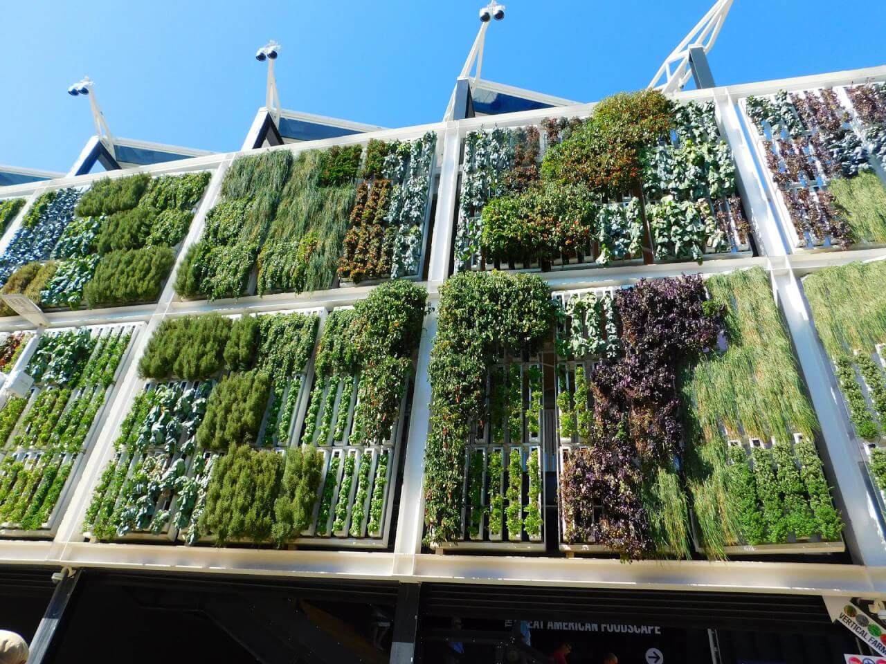 vertical gardens 1
