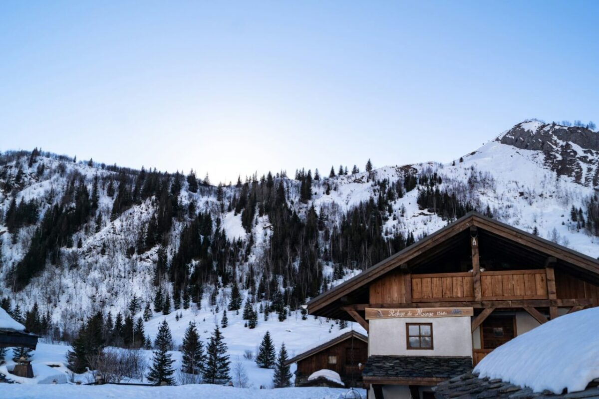 Unveiling the Allure of Property Auctions in the French Alps