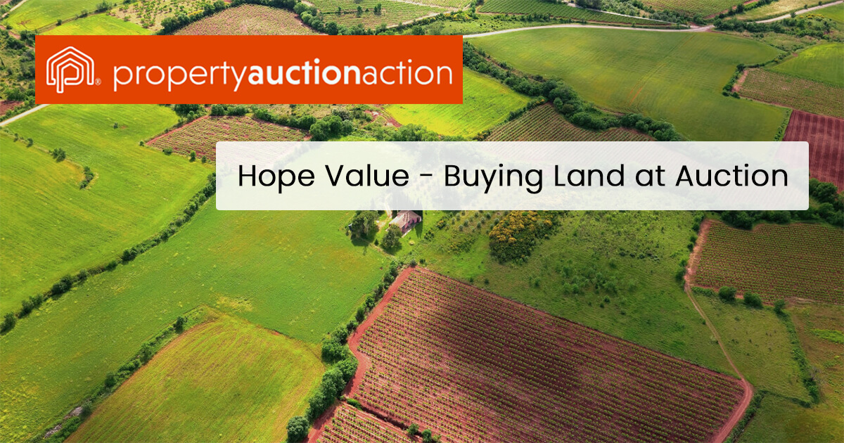 hope value property auction