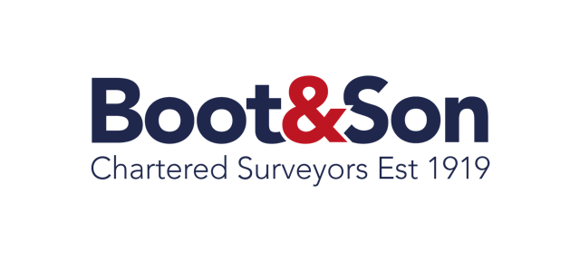 Boot and Son                                                 logo