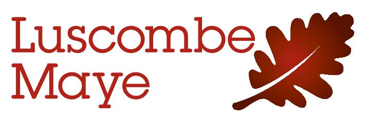Luscombe Maye                                                logo