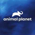Animal Planet